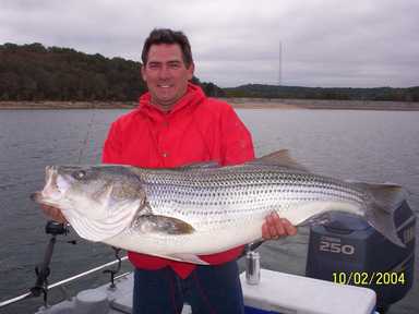 Nice Striped Bass