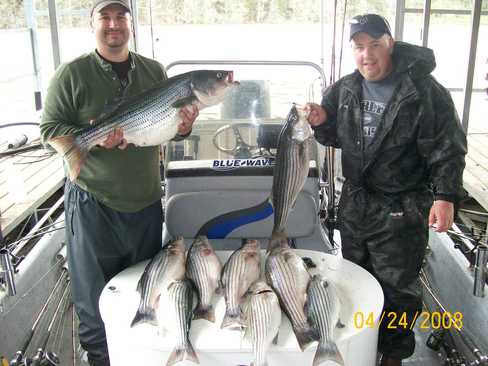 Nice Striped Bass