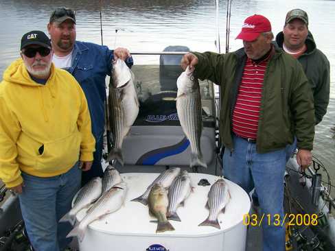 Nice Striped Bass