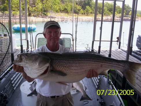 Nice Striped Bass