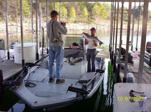 Nice mess of Stripers