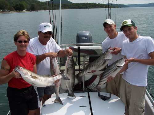 Nice mess of Stripers