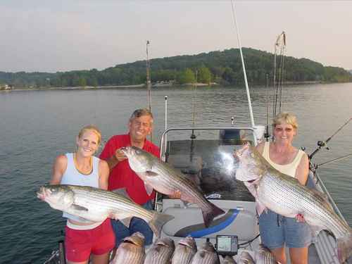 Nice Striped Bass