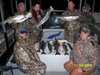(12/28/2008) - Nice Striped Bass