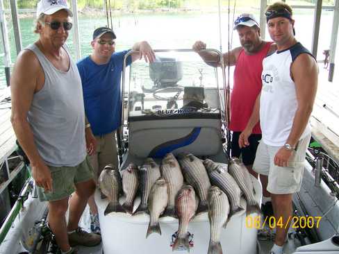 Nice Striped Bass