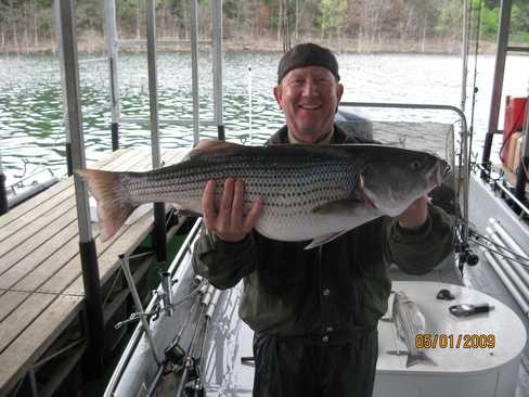 Nice Striped Bass