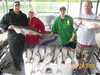 (06/28/2008) - Nice Striped Bass