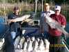 (10/20/2007) - Nice Striped Bass