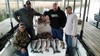 (02/11/2017) - Nice Striped Bass