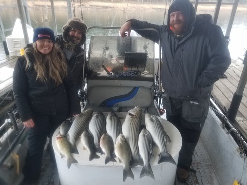 Nice Striped Bass