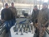 (11/19/2018) - Nice Striped Bass