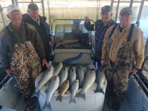 Nice Striped Bass