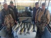 (11/21/2018) - Nice Striped Bass