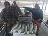 (11/07/2017) - Nice Striped Bass