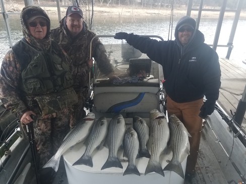 Nice Striped Bass