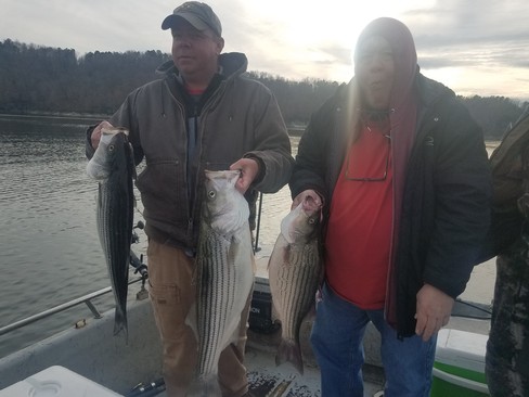 Nice Striped Bass