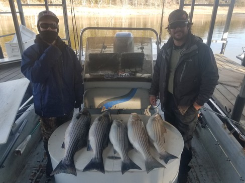 Nice Striped Bass
