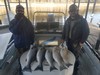 (12/21/2018) - Nice Striped Bass
