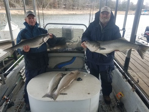Nice Striped Bass