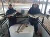 (12/27/2018) - Nice Striped Bass