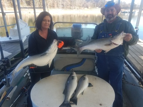 Nice Striped Bass