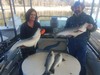 (01/05/2019) - Nice Striped Bass