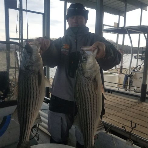 Nice Striped Bass