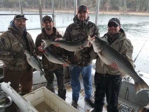 Nice Striped Bass