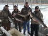 (03/23/2019) - Nice Striped Bass