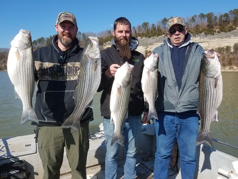 Nice Striped Bass