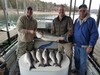 (03/29/2019) - Nice Striped Bass