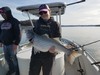 (04/03/2019) - Nice Striped Bass