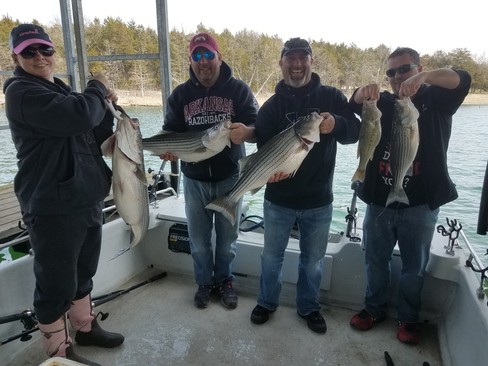 Nice Striped Bass