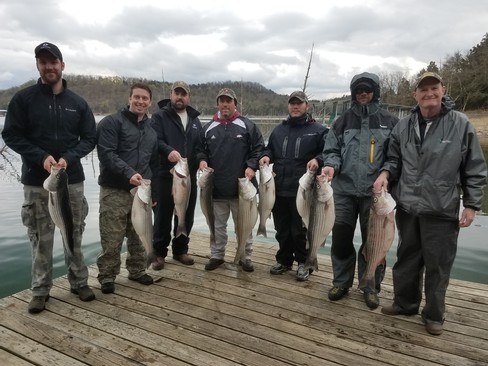 Nice Striped Bass