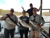(04/10/2019) - Nice Striped Bass