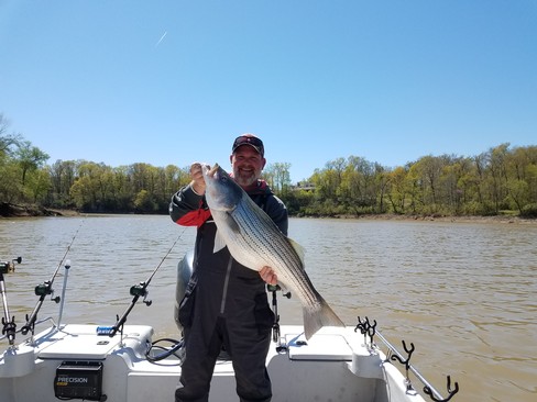 Nice Striped Bass