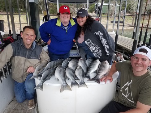 Nice Striped Bass