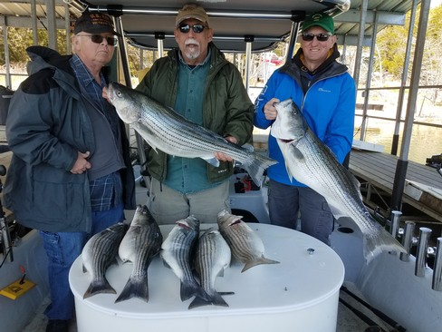 Nice Striped Bass