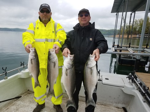 Nice Striped Bass
