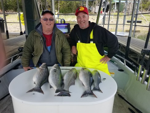 Nice Striped Bass