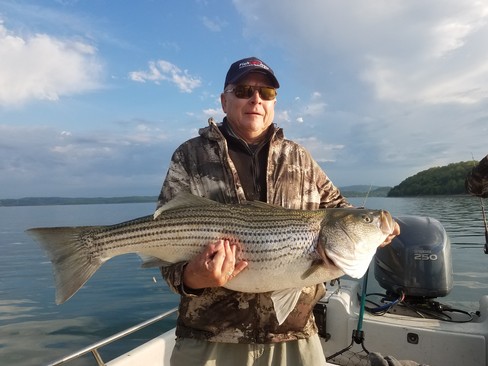 Nice Striped Bass