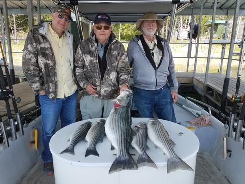 Nice Striped Bass