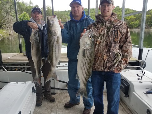 Nice Striped Bass