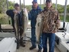 (05/09/2019) - Nice Striped Bass