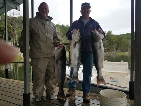 Nice Striped Bass