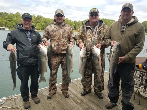 Nice Striped Bass