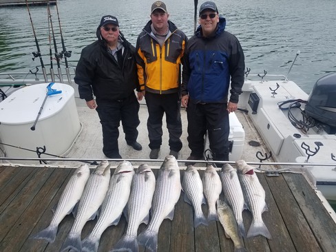 Nice Striped Bass