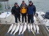(05/11/2019) - Nice Striped Bass