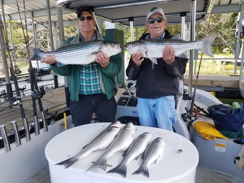 Nice Striped Bass