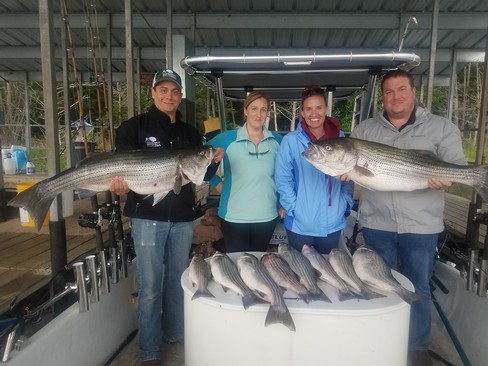 Nice Striped Bass